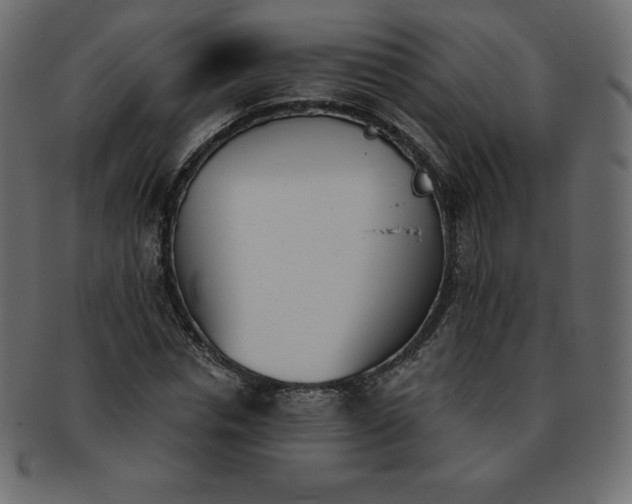 X0000093360826200710191055