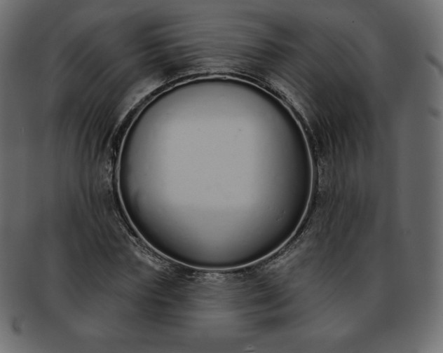 X0000093360827200710191055