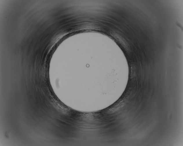 X0000093360828200710191055
