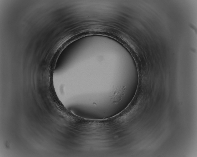 X0000093360829200710191055