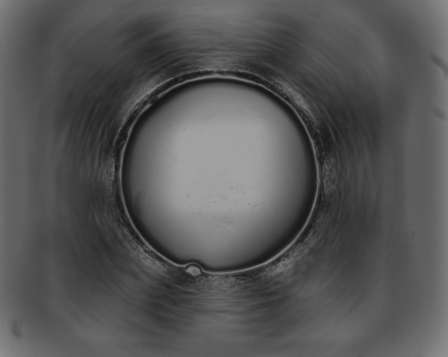 X0000093360831200710191055