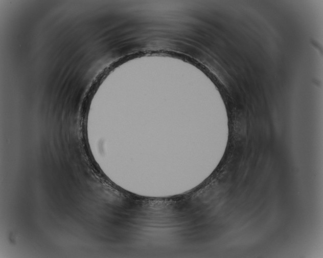 X0000093360832200710191055