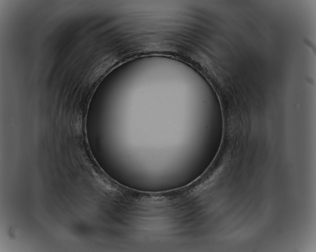 X0000093360833200710191055