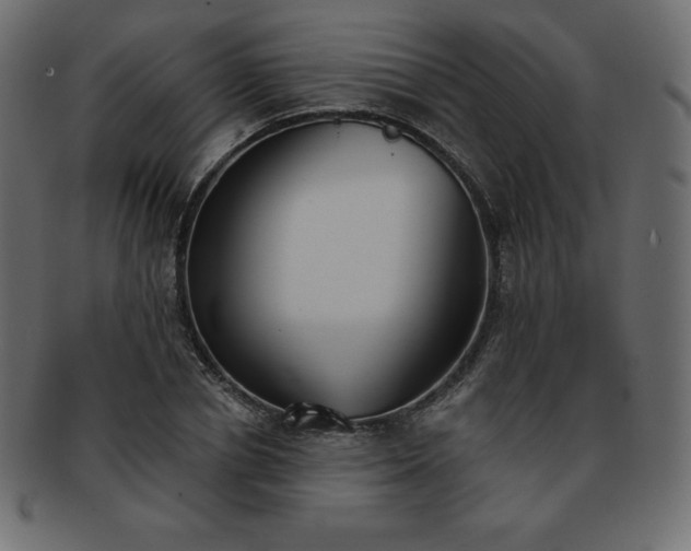 X0000093360834200710191055