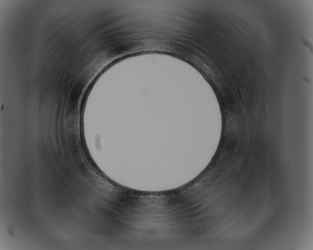 X0000093360836200710191055