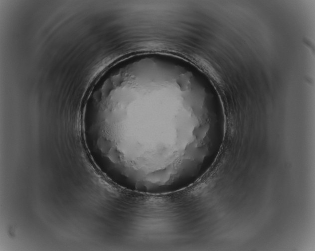 X0000093360839200710191055