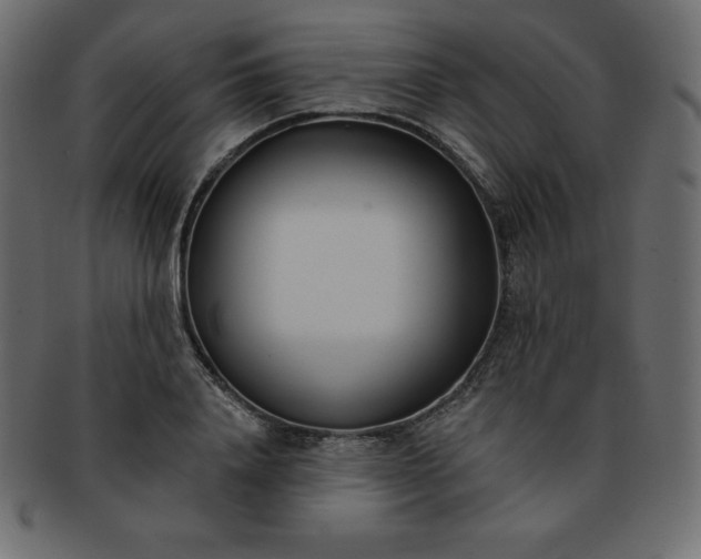 X0000093360840200710191055