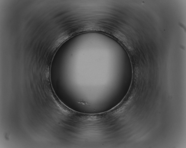 X0000093360841200710191055