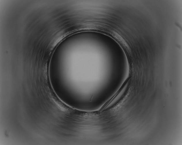 X0000093360842200710191055