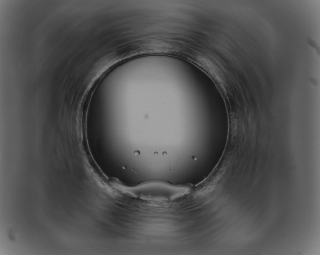 X0000093360843200710191055
