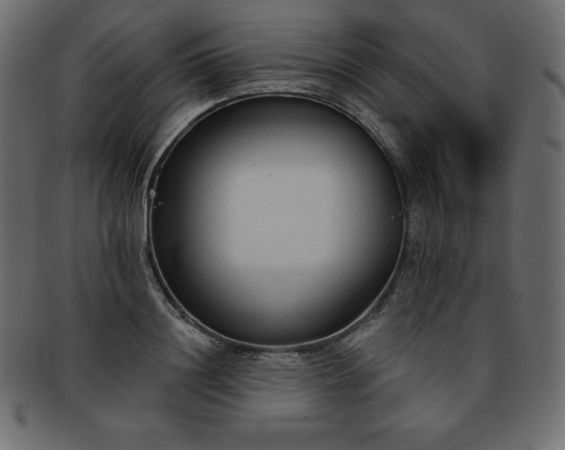 X0000093360844200710191055