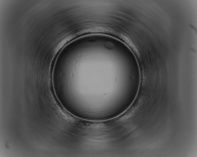 X0000093360845200710191055