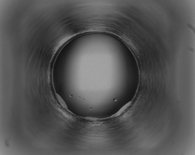 X0000093360846200710191055