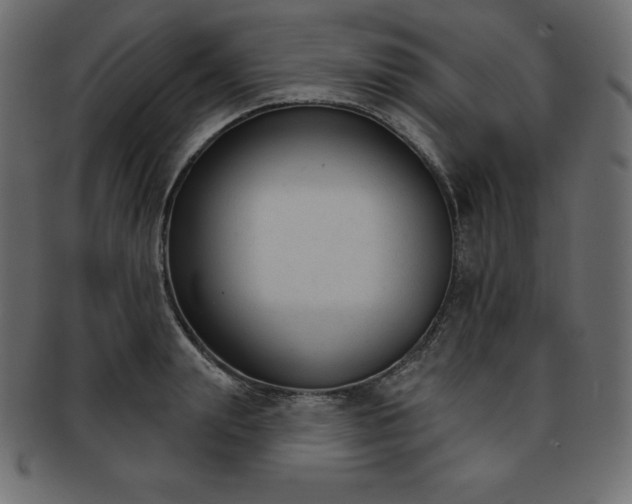 X0000093360847200710191055