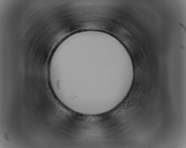 X0000093360848200710191055