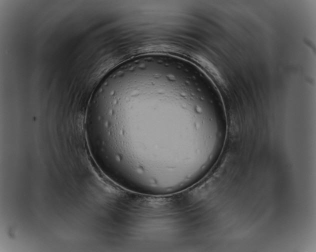 X0000093360849200710191055