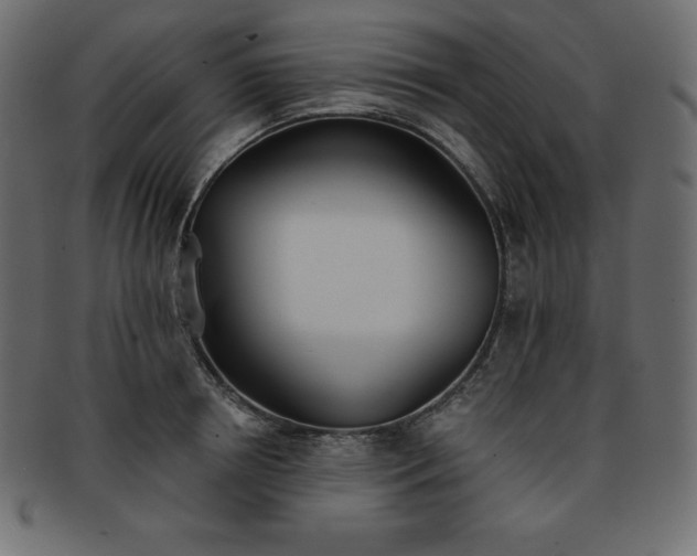X0000093360850200710191055
