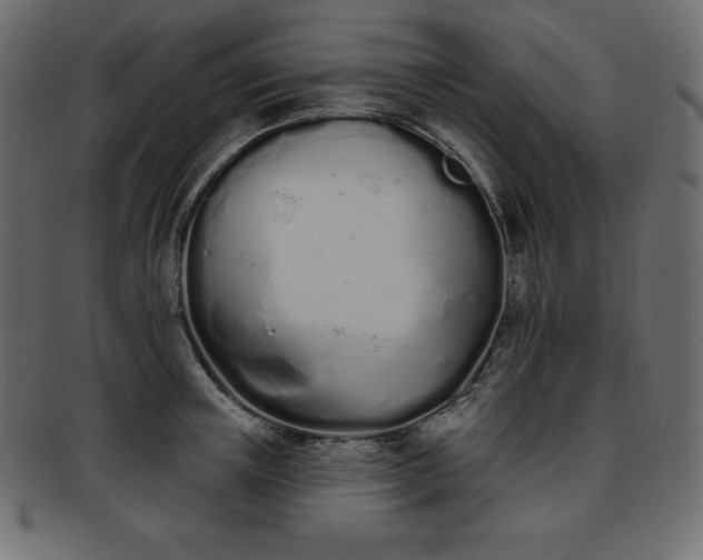 X0000093360851200710191055
