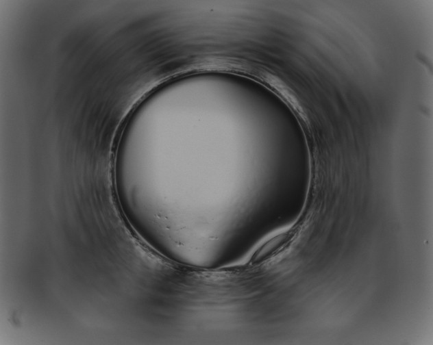 X0000093360853200710191055
