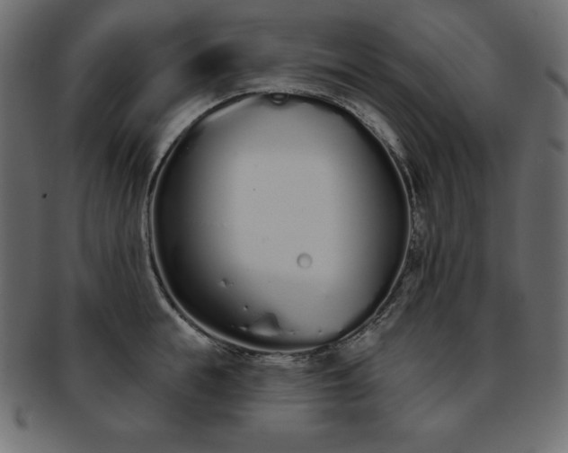 X0000093360855200710191055
