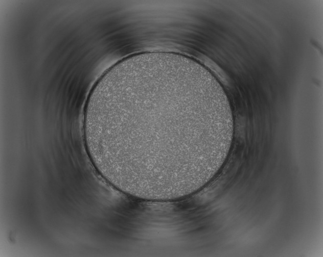 X0000093360856200710191055