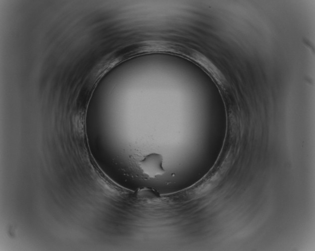 X0000093360857200710191055