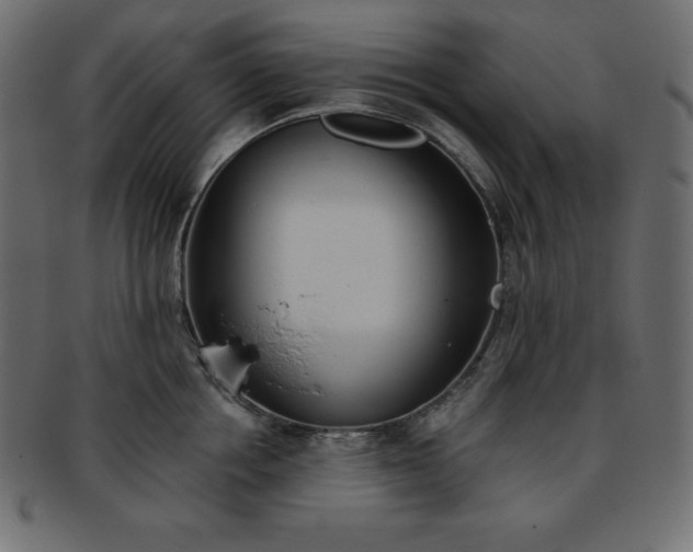 X0000093360858200710191055