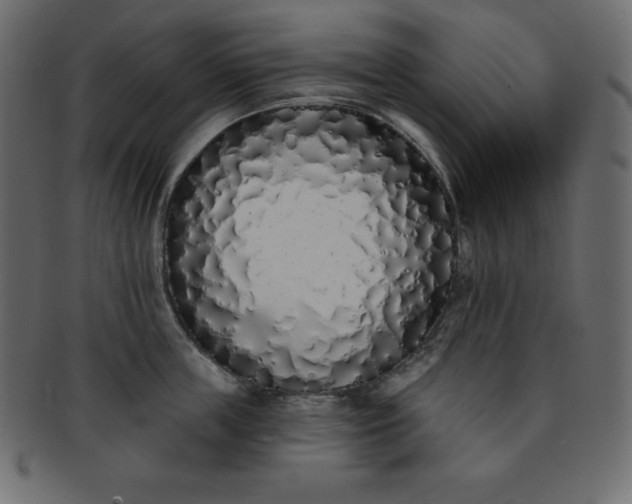 X0000093360859200710191055
