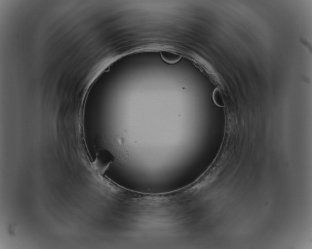 X0000093360860200710191055