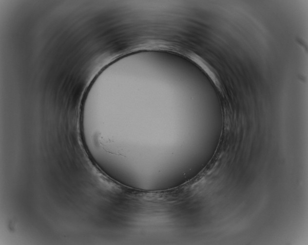 X0000093360861200710191055