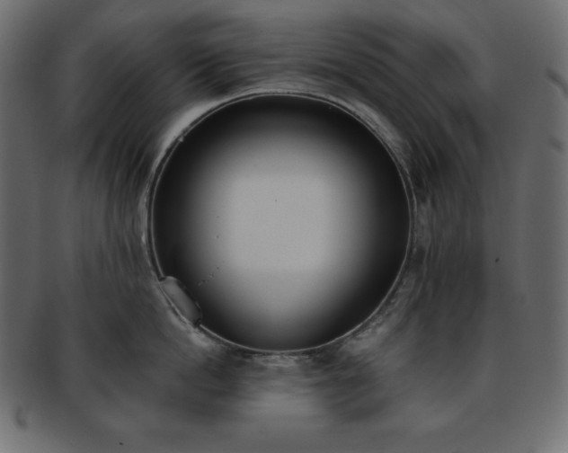 X0000093360862200710191055