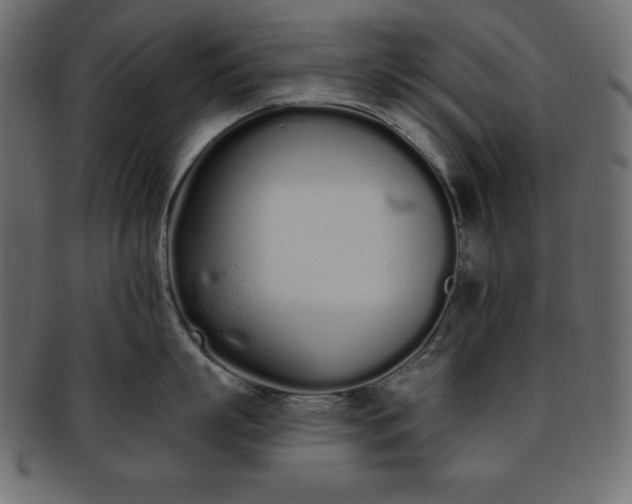 X0000093360863200710191055