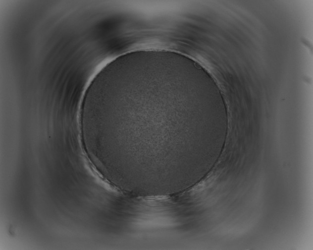 X0000093360864200710191056