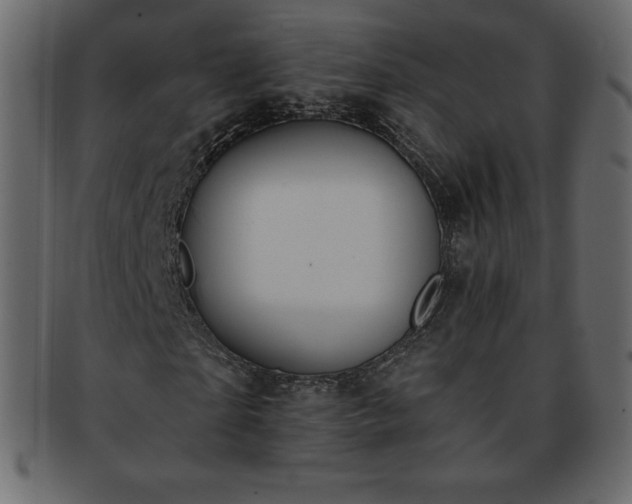 X0000093360865200710191055