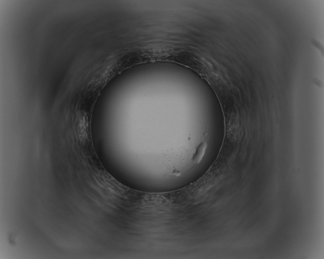 X0000093360866200710191055