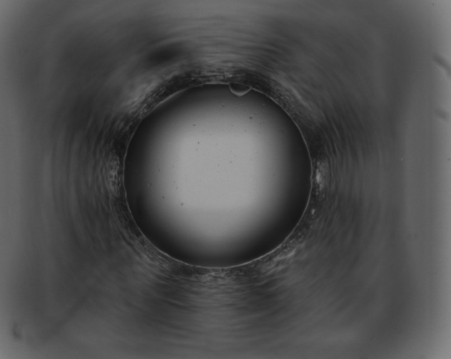 X0000093360867200710191055