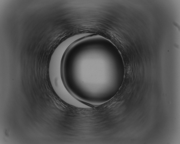 X0000093360868200710191055