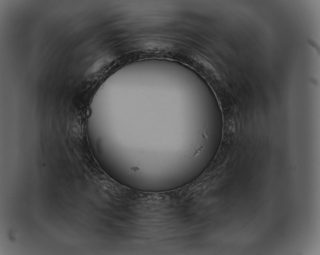 X0000093360869200710191055