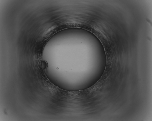 X0000093360870200710191055