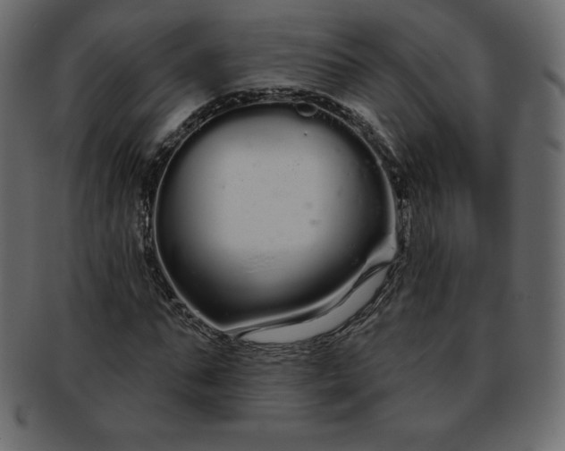 X0000093360871200710191055