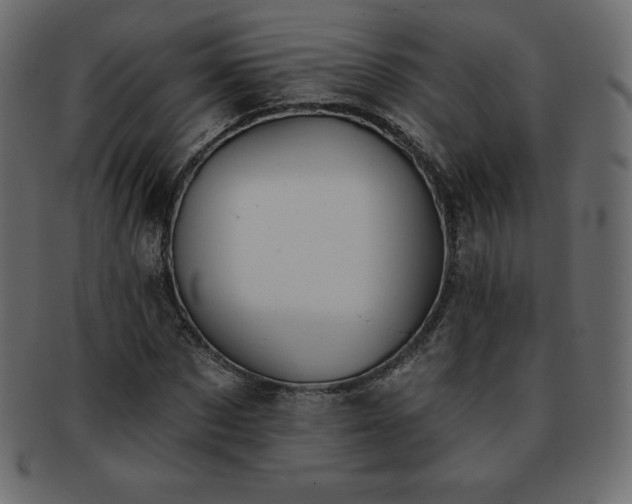 X0000093360873200710191055