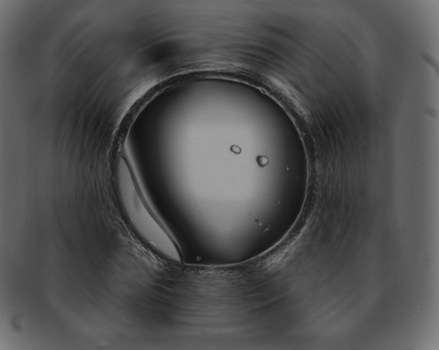 X0000093360875200710191055