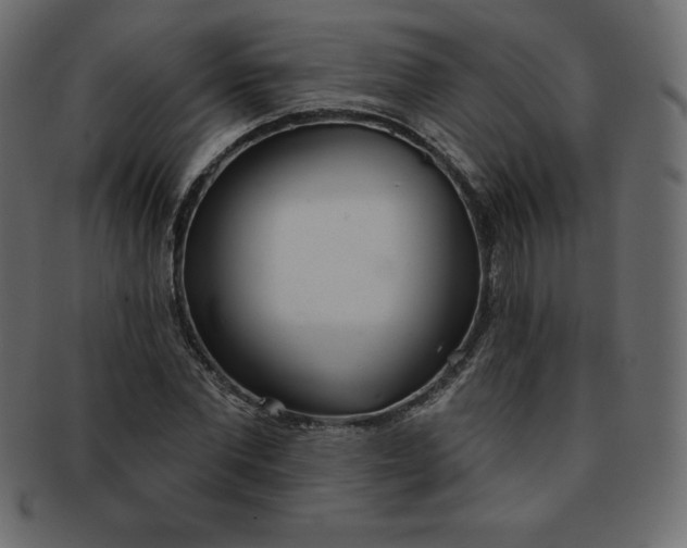 X0000093360877200710191055