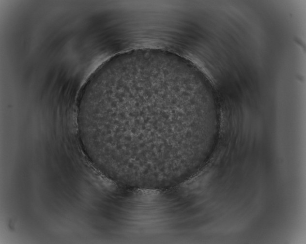 X0000093360878200710191055