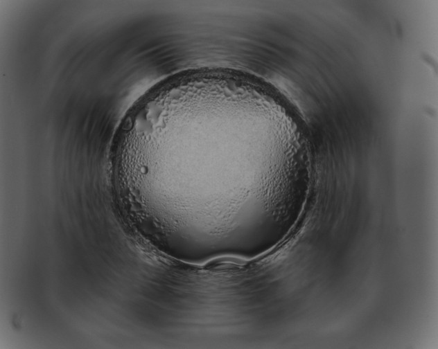 X0000093360879200710191055