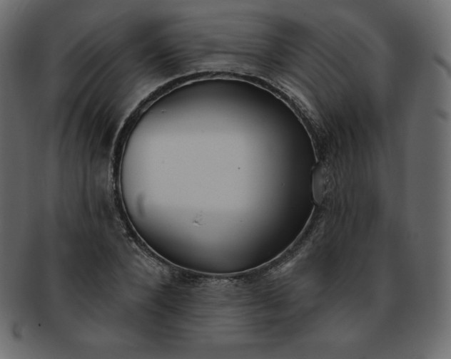 X0000093360880200710191055