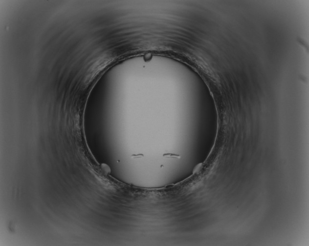 X0000093360881200710191055