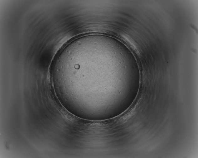 X0000093360883200710191055