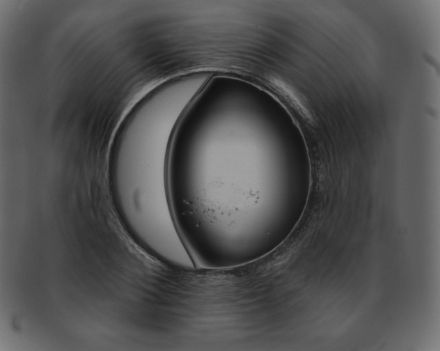 X0000093360884200710191055