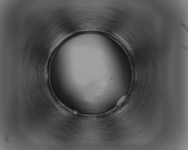 X0000093360885200710191055